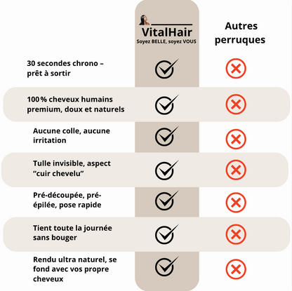 Glueless HD Lace Straight Wig 4x4 – Natural Look